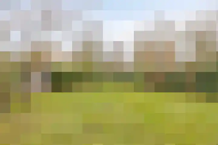 Frans Mentonstraat 3 Alkmaar thumbnail 24