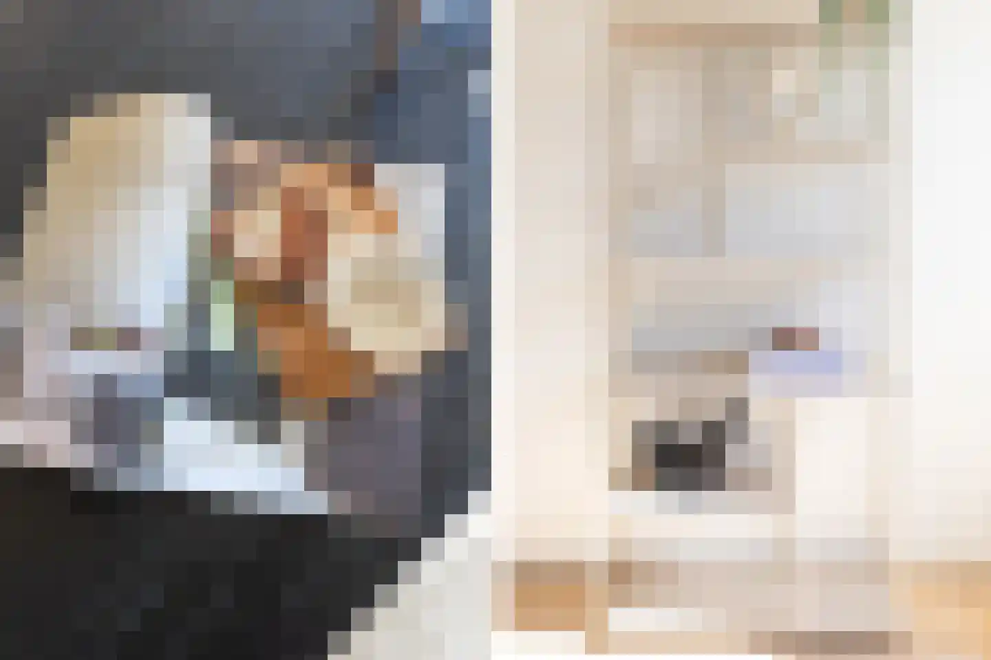 Frans Mentonstraat 4 Alkmaar thumbnail 15