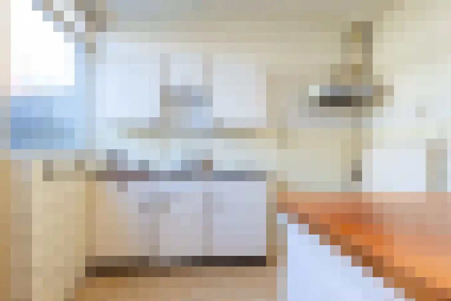 Frans Mentonstraat 4 Alkmaar thumbnail 19