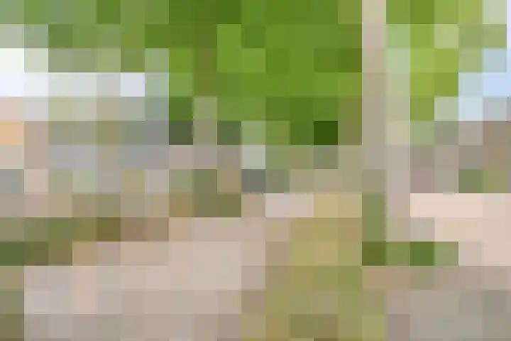 Frans Michelsstraat 15 Venray thumbnail 36