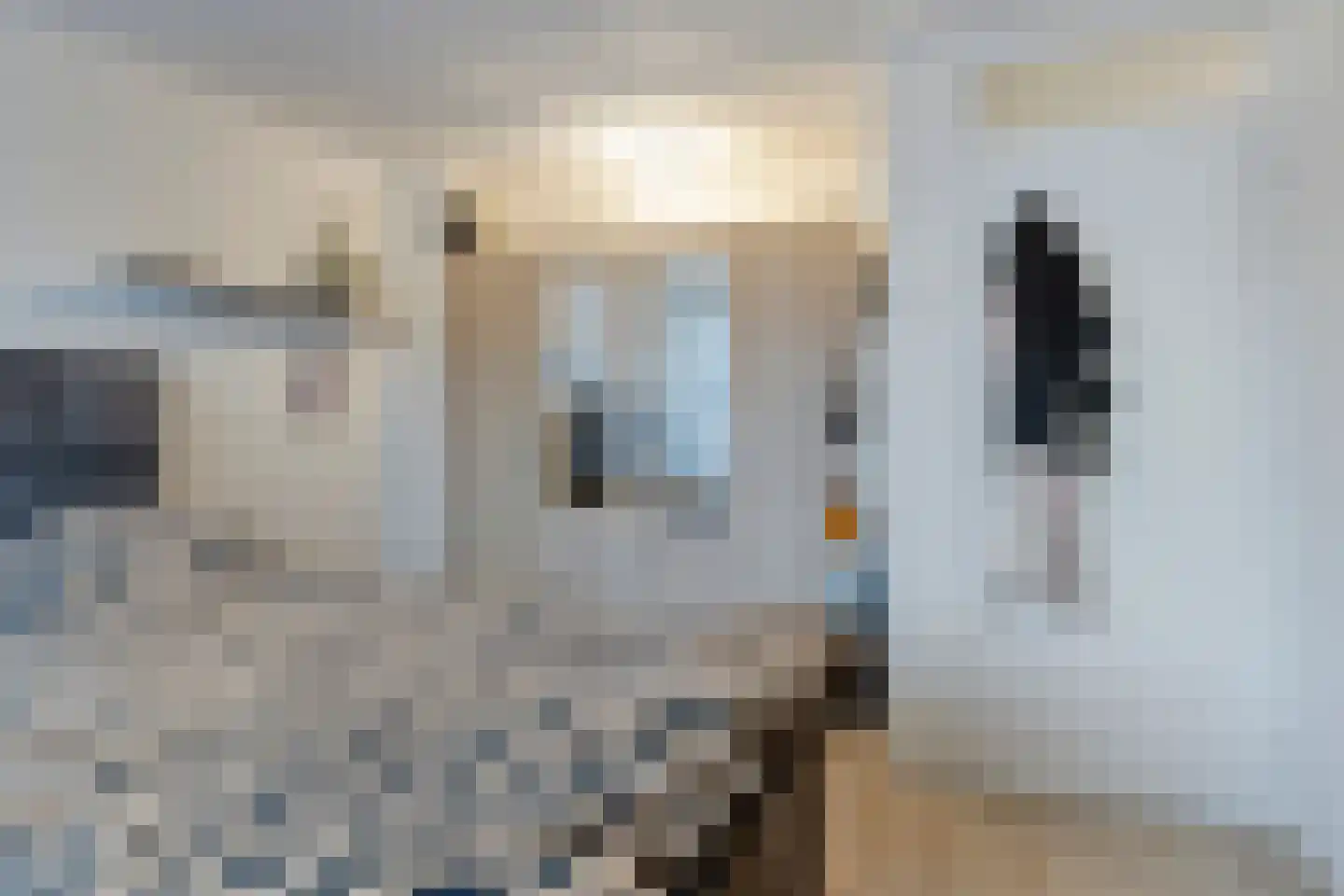 Frans Molstraat 16 's-Hertogenbosch thumbnail 11