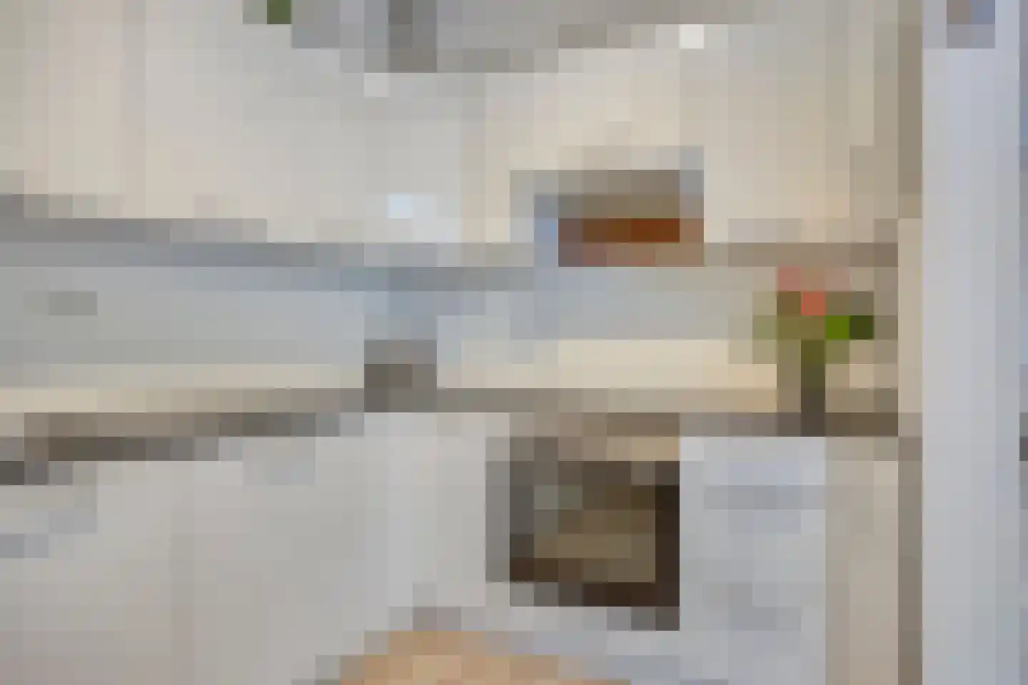 Frans Molstraat 16 's-Hertogenbosch thumbnail 7