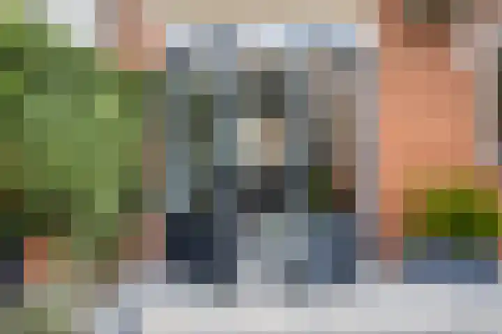 Frans Molstraat 18 's-Hertogenbosch thumbnail 27