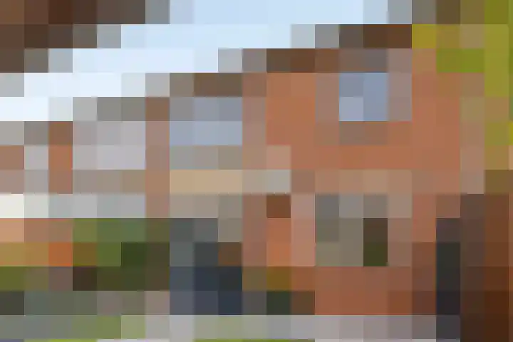 Frans Molstraat 18 's-Hertogenbosch thumbnail 30