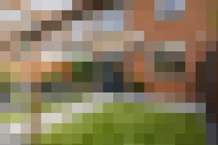 Frans Molstraat 18 's-Hertogenbosch thumbnail 31