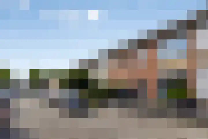 Frans Molstraat 18 's-Hertogenbosch thumbnail 35