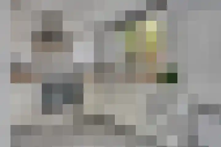 Frans Molstraat 18 's-Hertogenbosch thumbnail 5