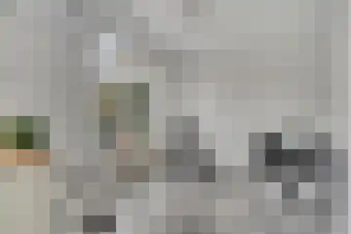 Frans Molstraat 18 's-Hertogenbosch thumbnail 8