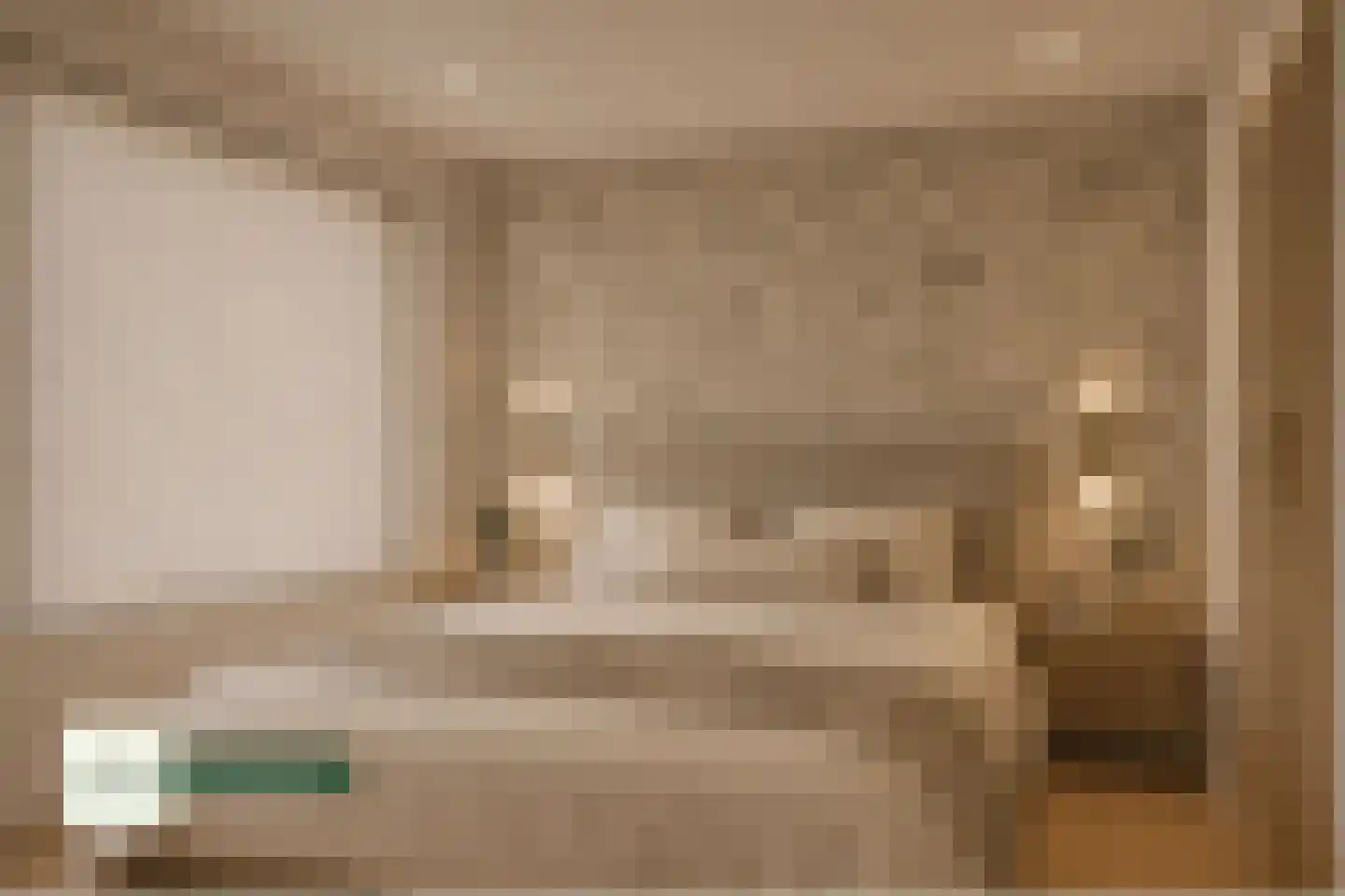 Frans Molstraat 24 's-Hertogenbosch thumbnail 15