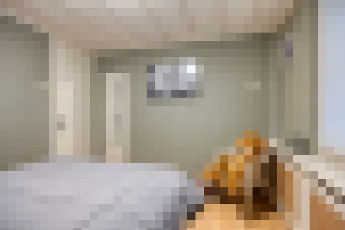 Frans Molstraat 24 's-Hertogenbosch thumbnail 16