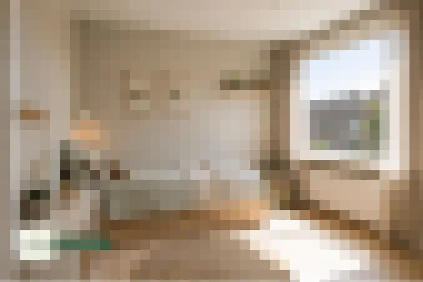 Frans Molstraat 24 's-Hertogenbosch thumbnail 21