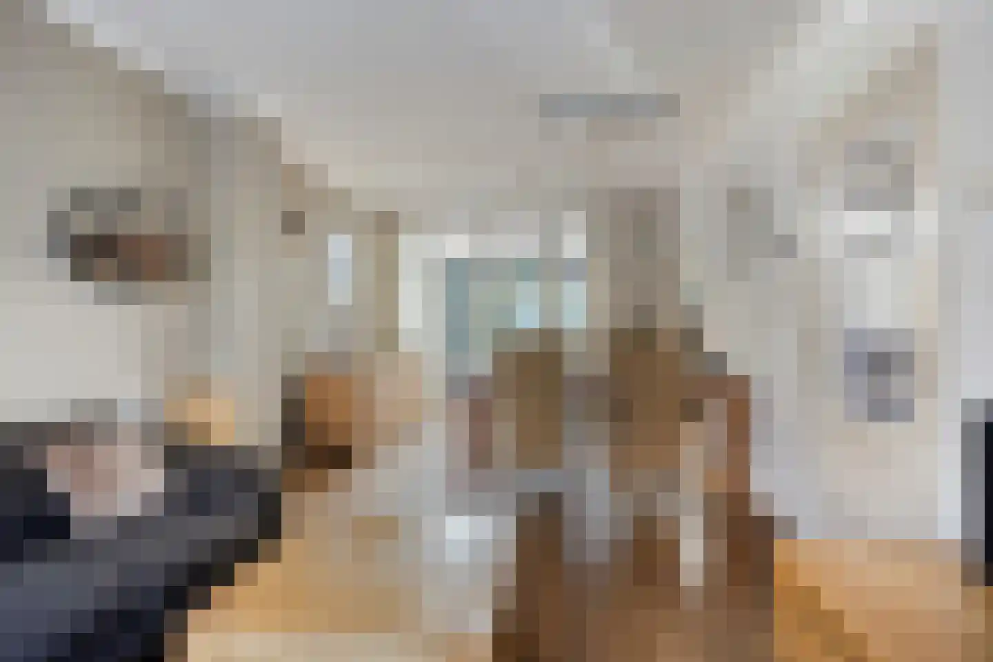 Frans Molstraat 24 's-Hertogenbosch thumbnail 9