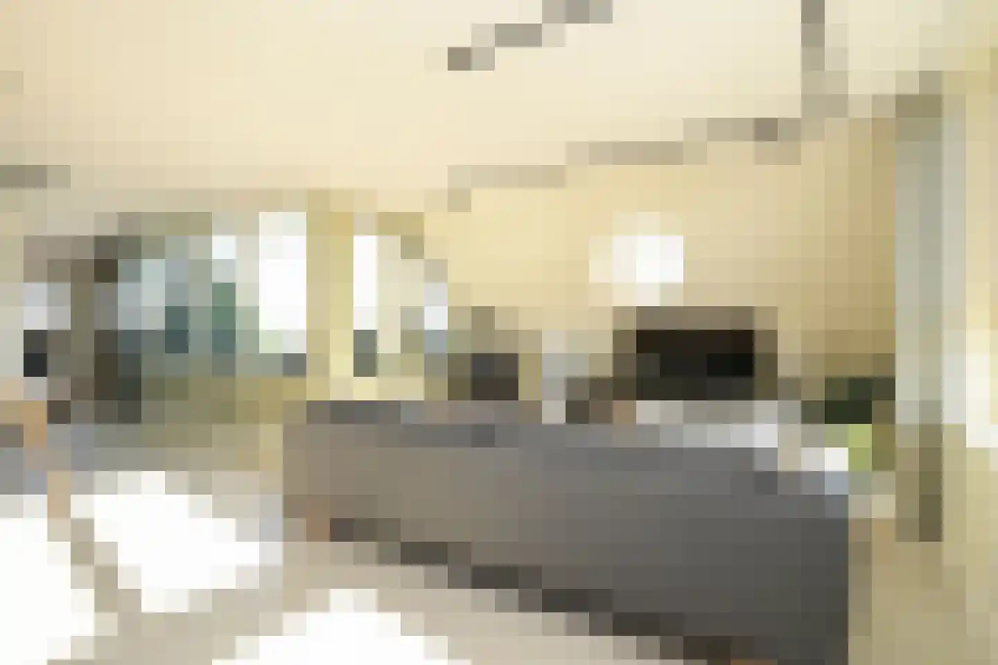 Frans Mortelmansstraat 172 Voorburg thumbnail 19