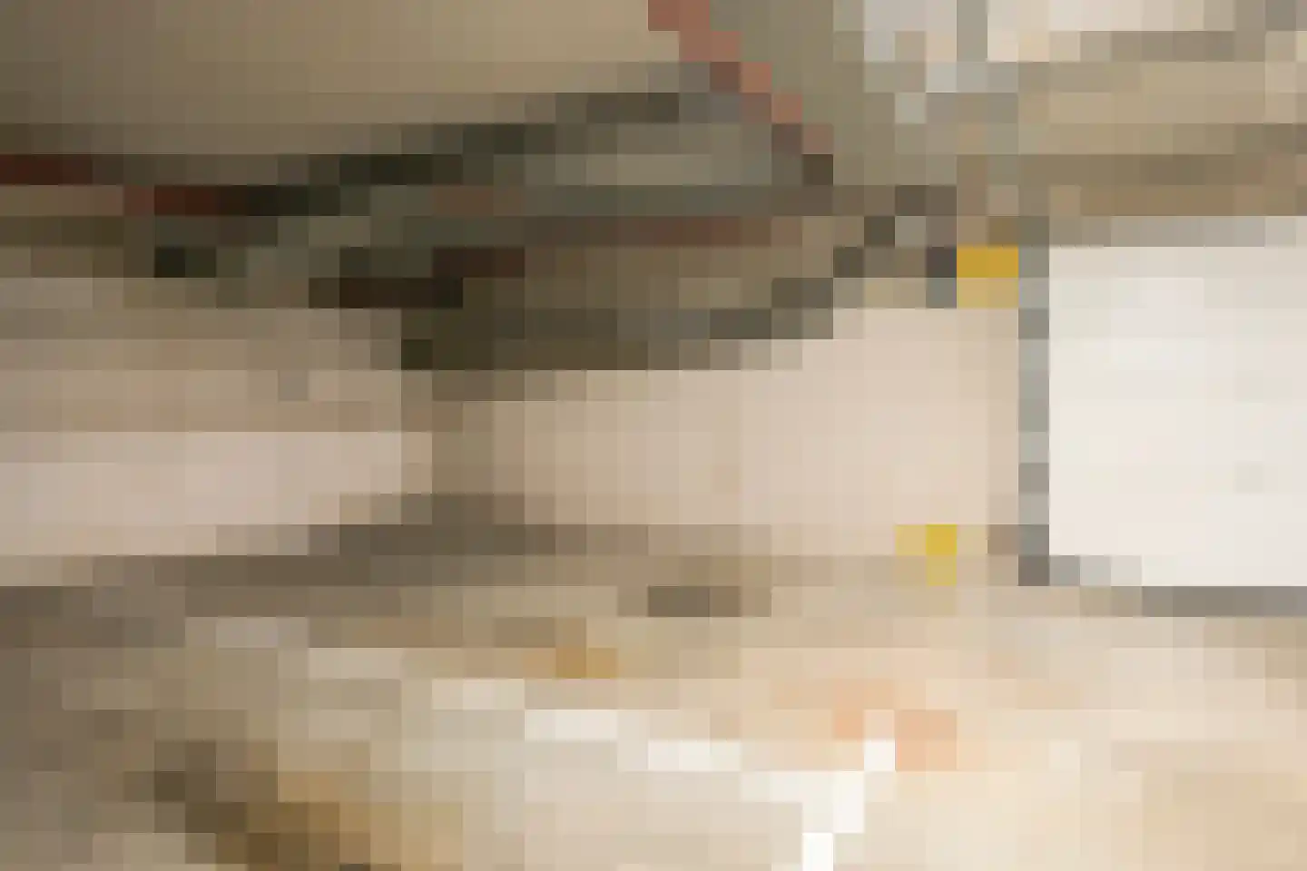 Frans Mortelmansstraat 172 Voorburg thumbnail 37