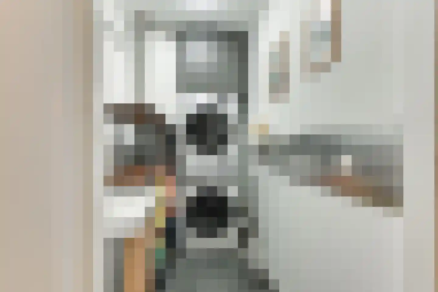 Frans Mortelmansstraat 48 Voorburg thumbnail 23