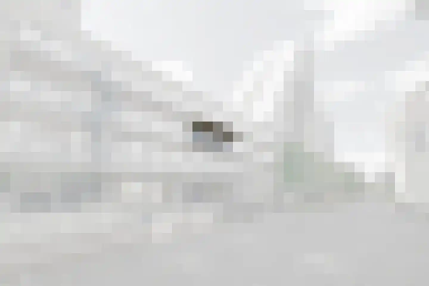 Frans Mortelmansstraat 48 Voorburg thumbnail 29