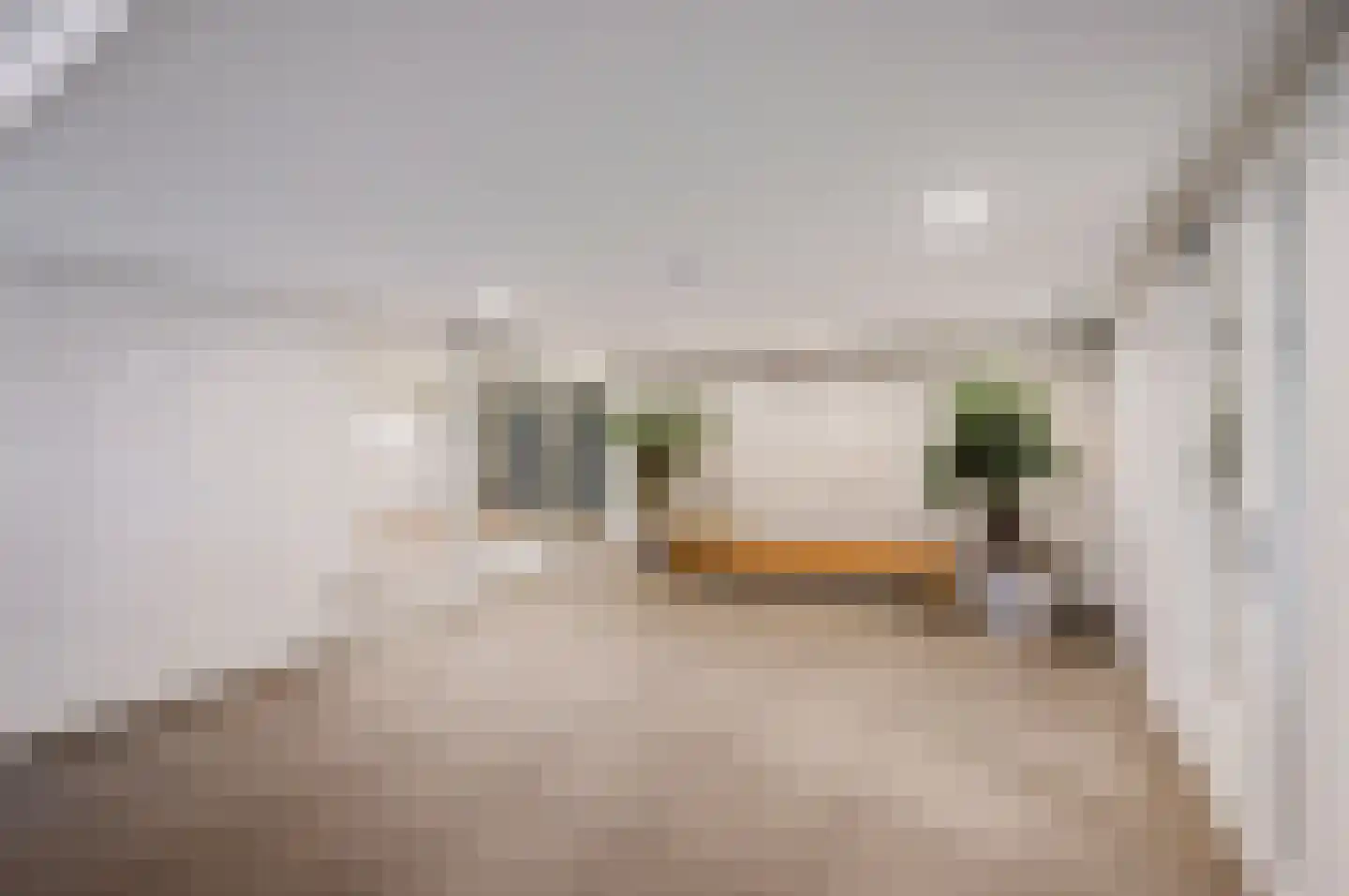 Frans Mortelmansstraat 88 Voorburg thumbnail 26