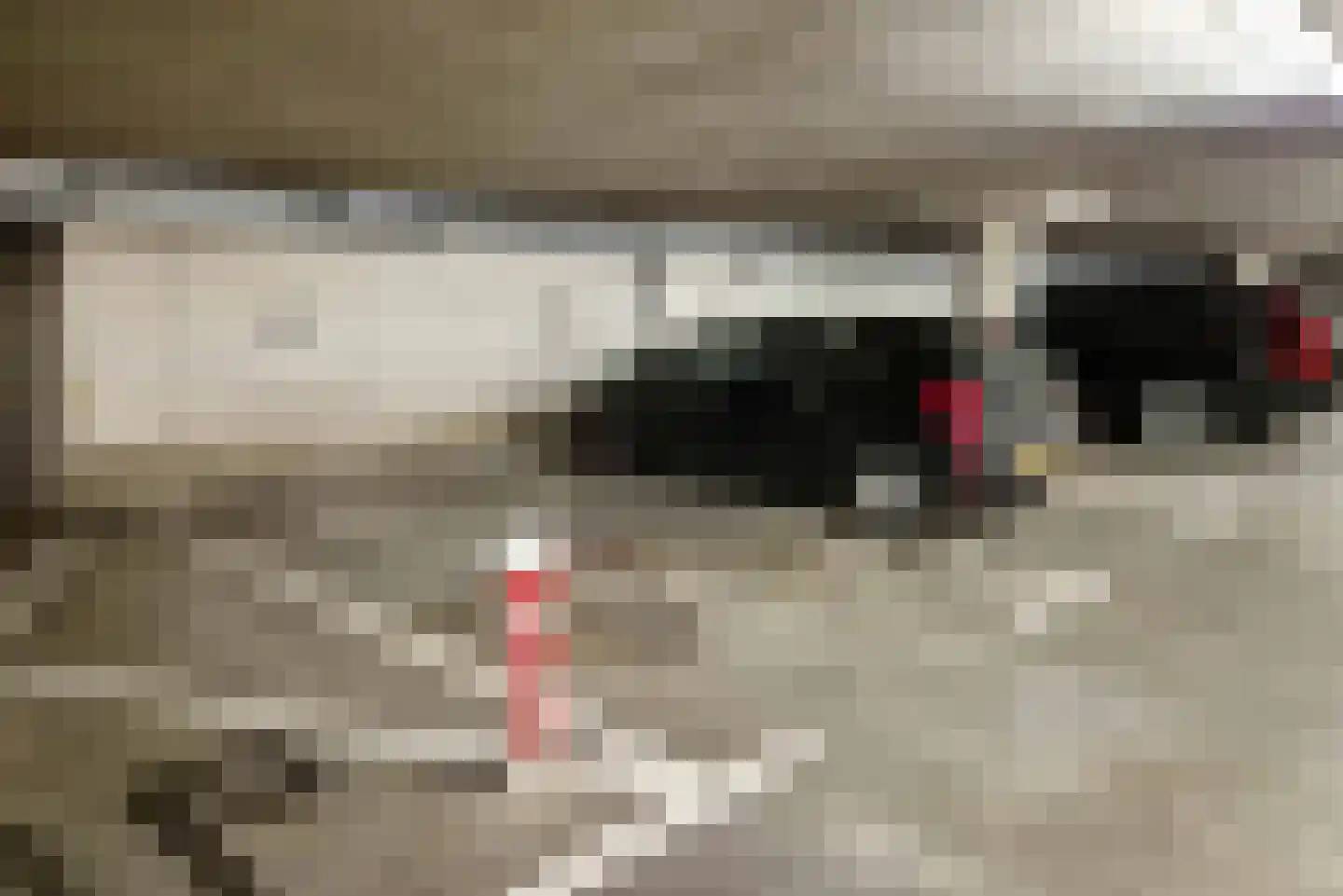 Frans Mortelmansstraat 88 Voorburg thumbnail 29