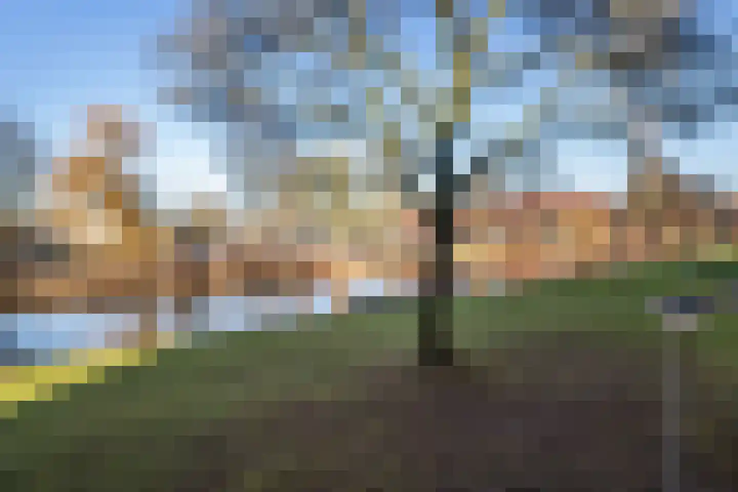 Frans Naereboutstraat 14 Dordrecht thumbnail 27