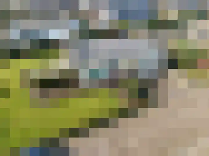 Frans Naereboutstraat 5 Terneuzen thumbnail 14