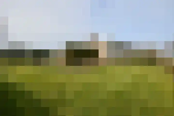 Frans Naereboutstraat 5 Terneuzen thumbnail 4
