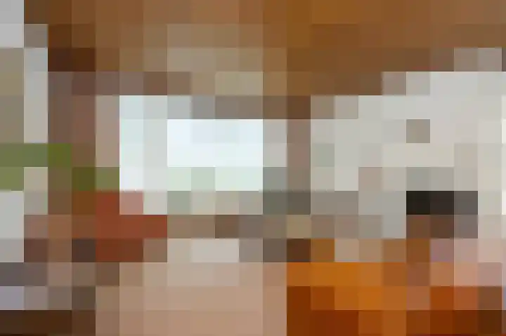 Frans Naereboutstraat 5 Terneuzen thumbnail 7