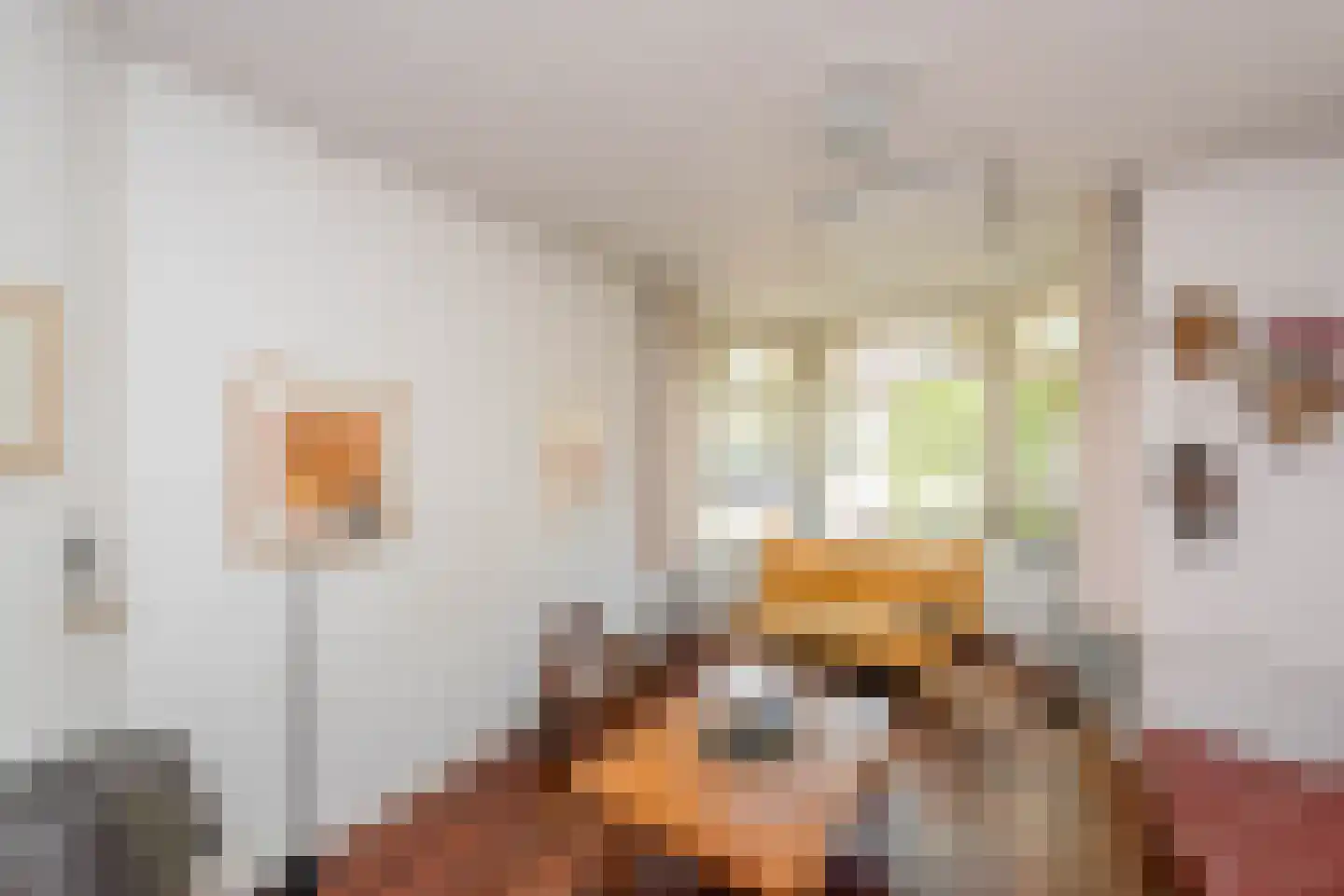 Frans Netscherlaan 1 Santpoort-Noord thumbnail 12