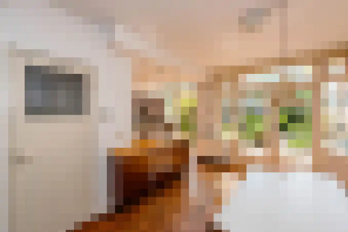 Frans Netscherlaan 1 Santpoort-Noord thumbnail 14