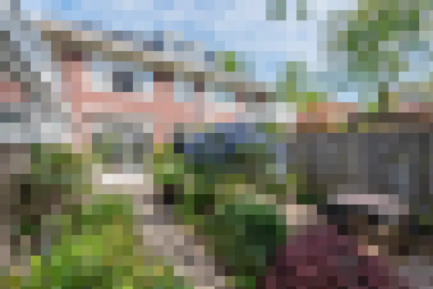 Frans Netscherlaan 1 Santpoort-Noord thumbnail 21