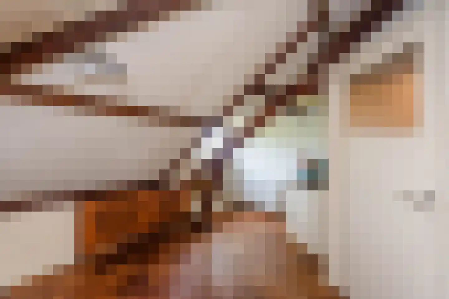 Frans Netscherlaan 1 Santpoort-Noord thumbnail 37