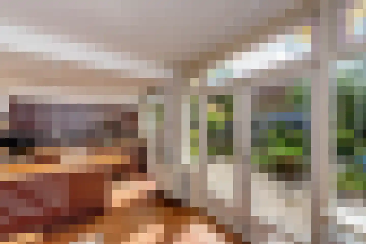 Frans Netscherlaan 1 Santpoort-Noord thumbnail 4