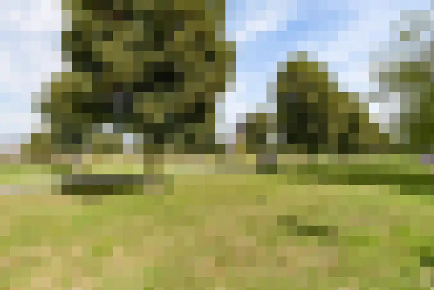 Frans Piëtstraat 10 Almere thumbnail 33