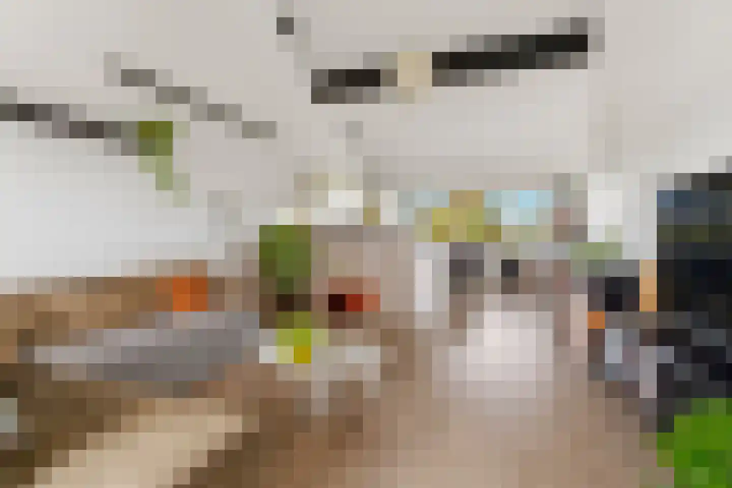 Frans Piëtstraat 22 Almere thumbnail 6