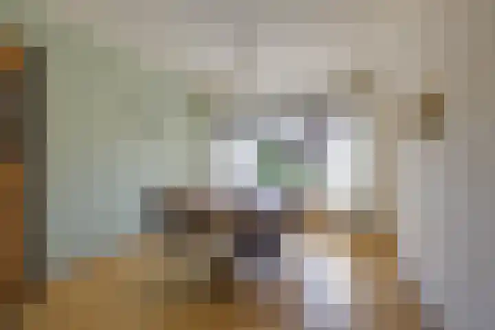Frans Roesstraat 18 Gaanderen thumbnail 12