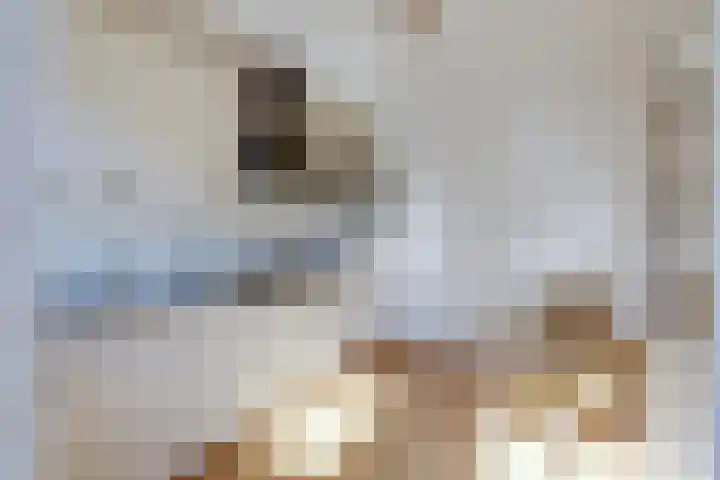 Frans Roesstraat 18 Gaanderen thumbnail 15
