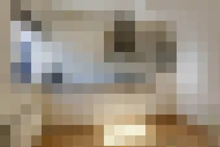Frans Roesstraat 18 Gaanderen thumbnail 16