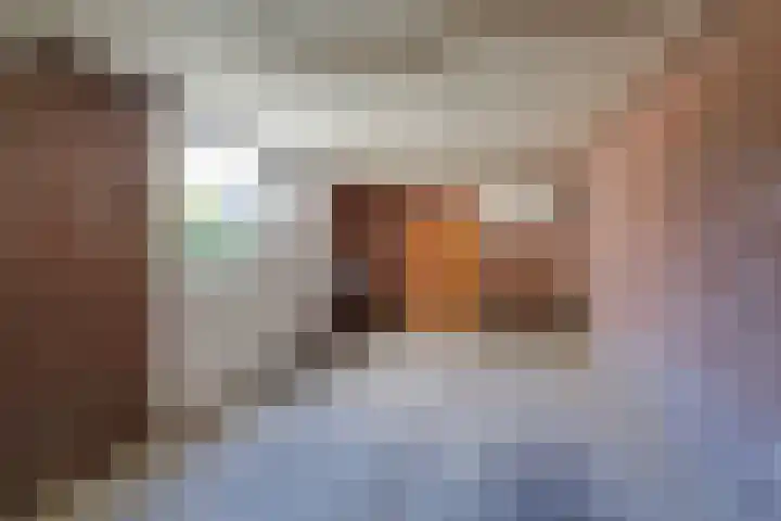 Frans Roesstraat 18 Gaanderen thumbnail 19
