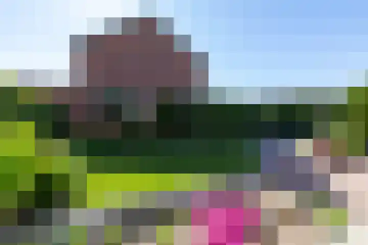 Frans Roesstraat 18 Gaanderen thumbnail 20