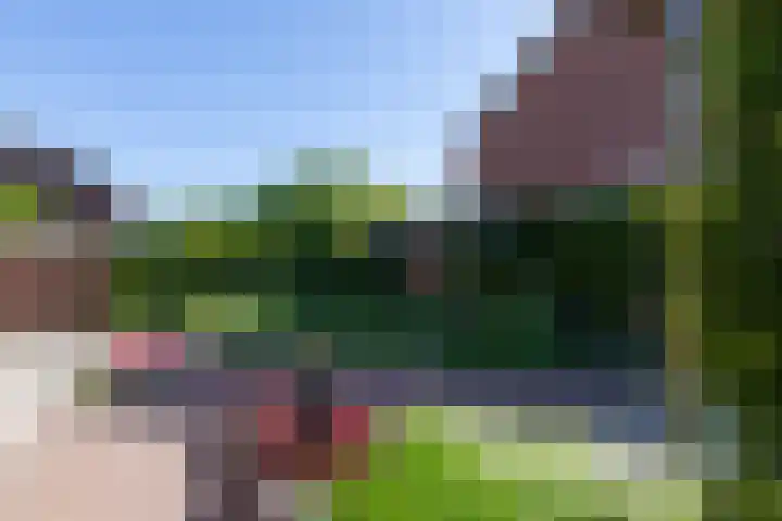 Frans Roesstraat 18 Gaanderen thumbnail 21