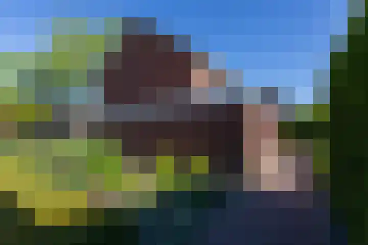 Frans Roesstraat 18 Gaanderen thumbnail 28