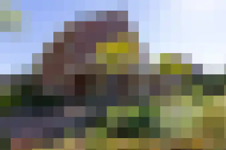 Frans Roesstraat 18 Gaanderen thumbnail 31