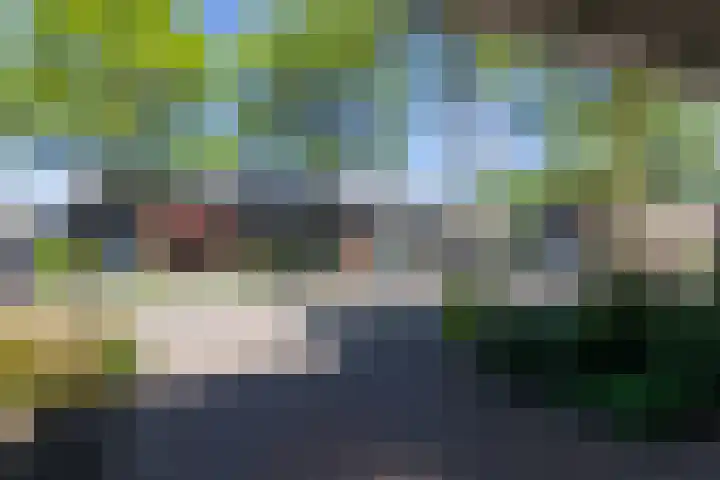 Frans Roesstraat 18 Gaanderen thumbnail 32