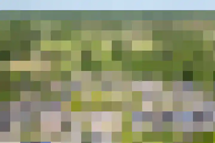 Frans Roesstraat 18 Gaanderen thumbnail 4