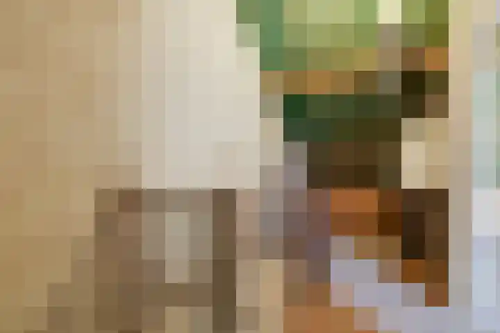 Frans Roesstraat 18 Gaanderen thumbnail 47