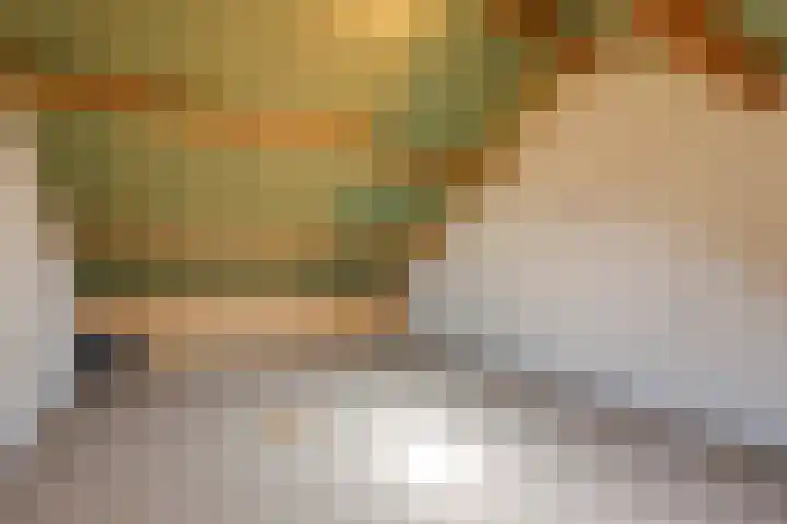Frans Roesstraat 18 Gaanderen thumbnail 50