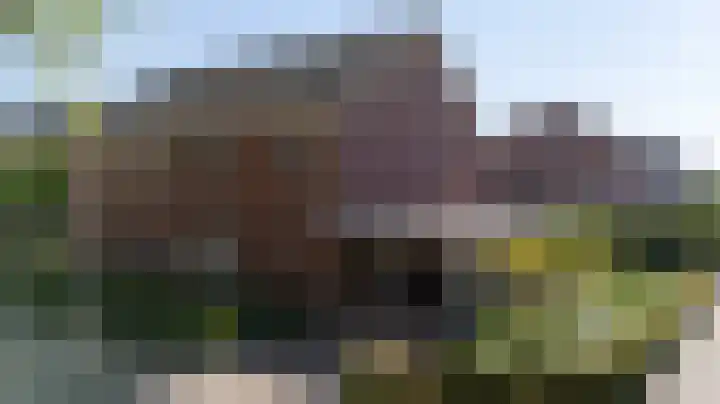 Frans Roesstraat 18 Gaanderen thumbnail 58