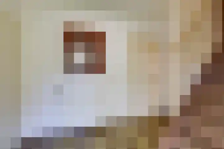 Frans Roesstraat 18 Gaanderen thumbnail 6