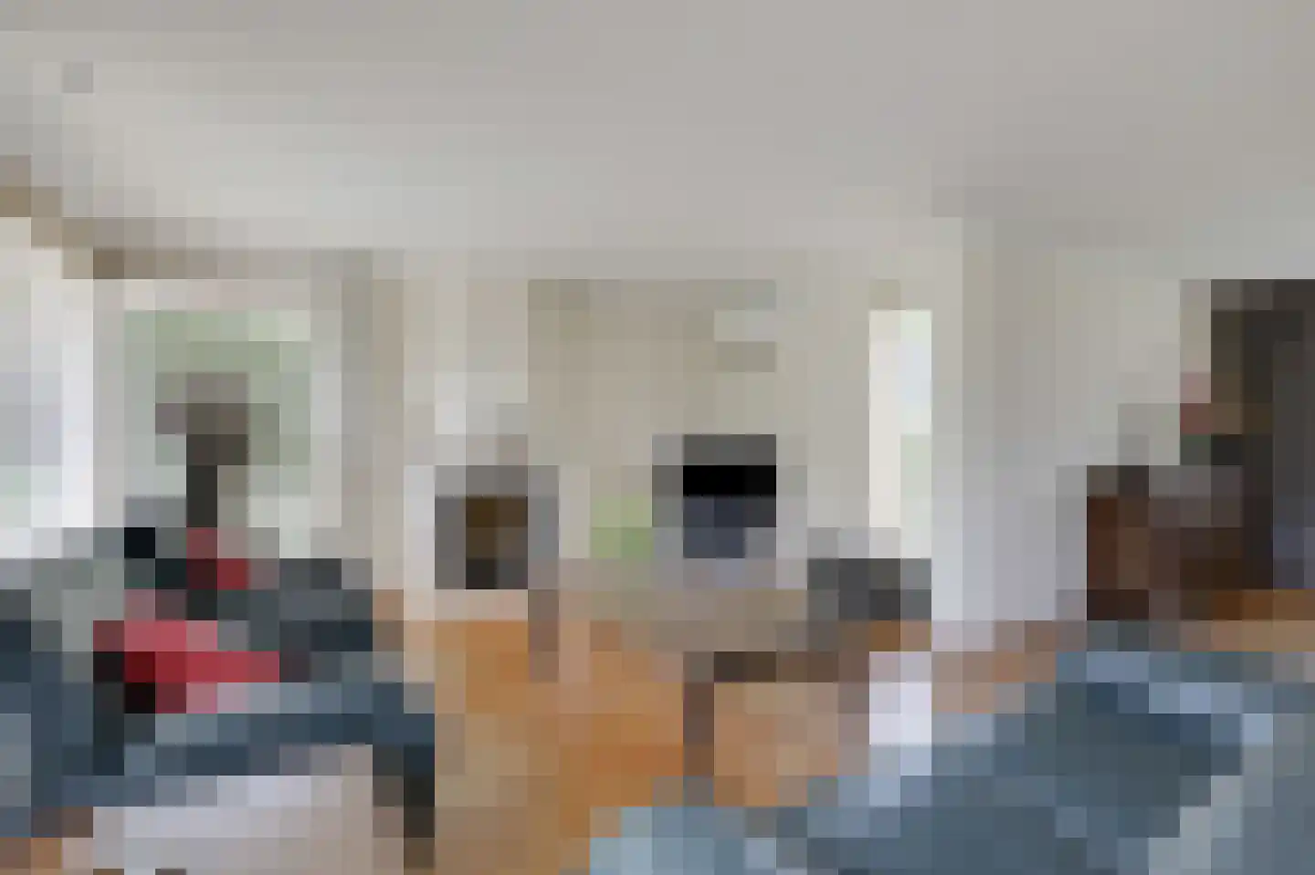 Frans Roesstraat 2 Gaanderen thumbnail 10
