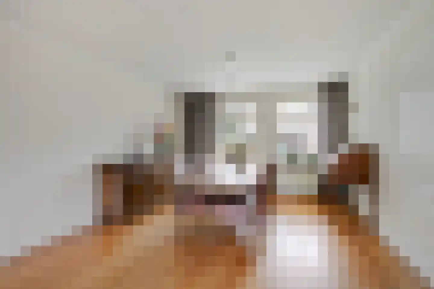 Frans Roesstraat 2 Gaanderen thumbnail 14