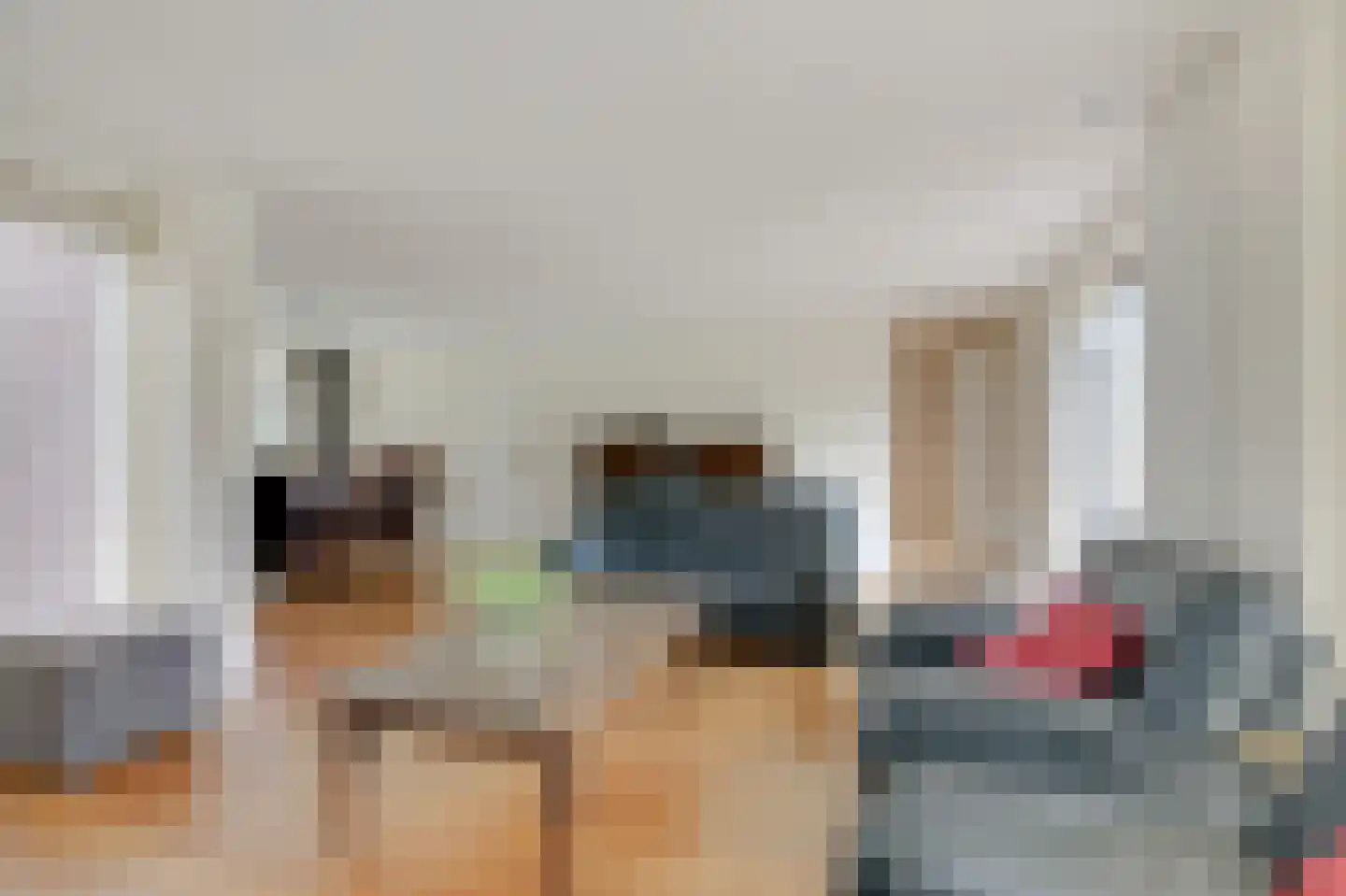 Frans Roesstraat 2 Gaanderen thumbnail 17